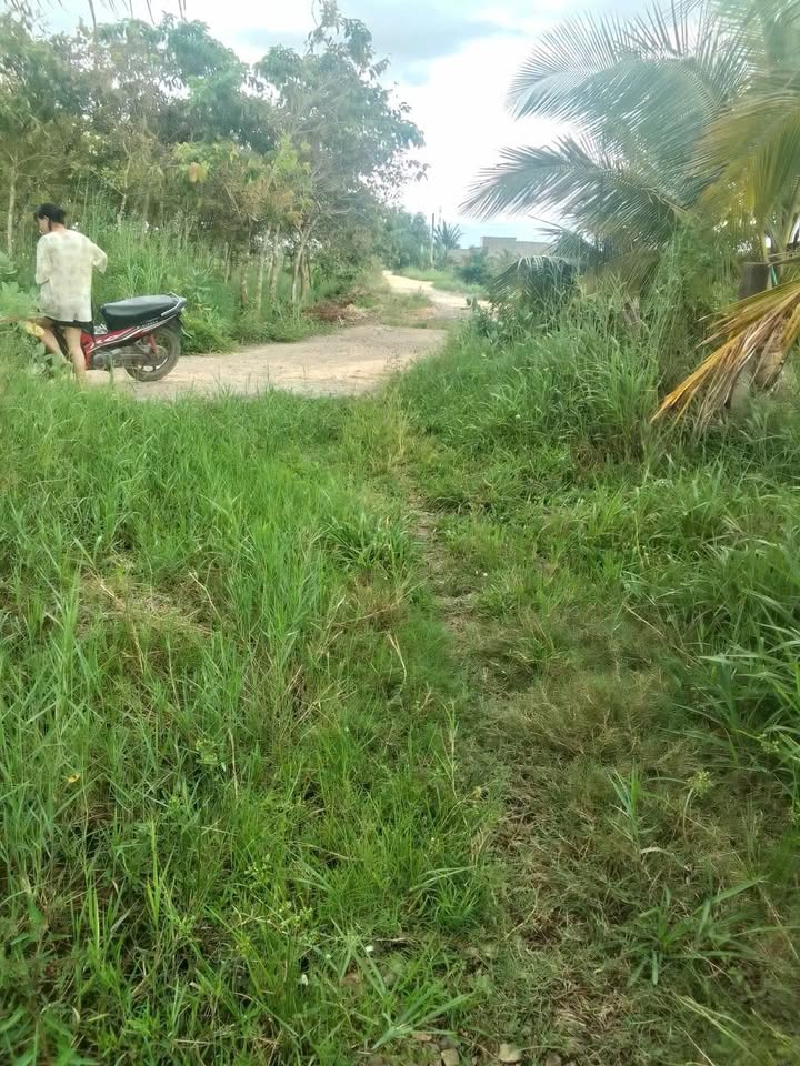 Đất nền 4 sào Hàm Chính, Hàm Liêm - Giá chỉ 240 triệu/sào, sổ đỏ chính chủ!