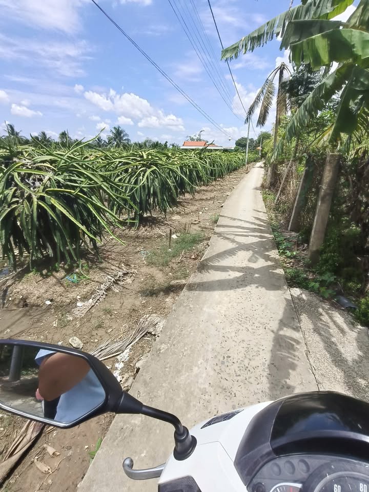 Bán đất Lương Hòa Lạc 2.195m² giá 2.169 tỷ - Đầu tư sinh lời ngay!