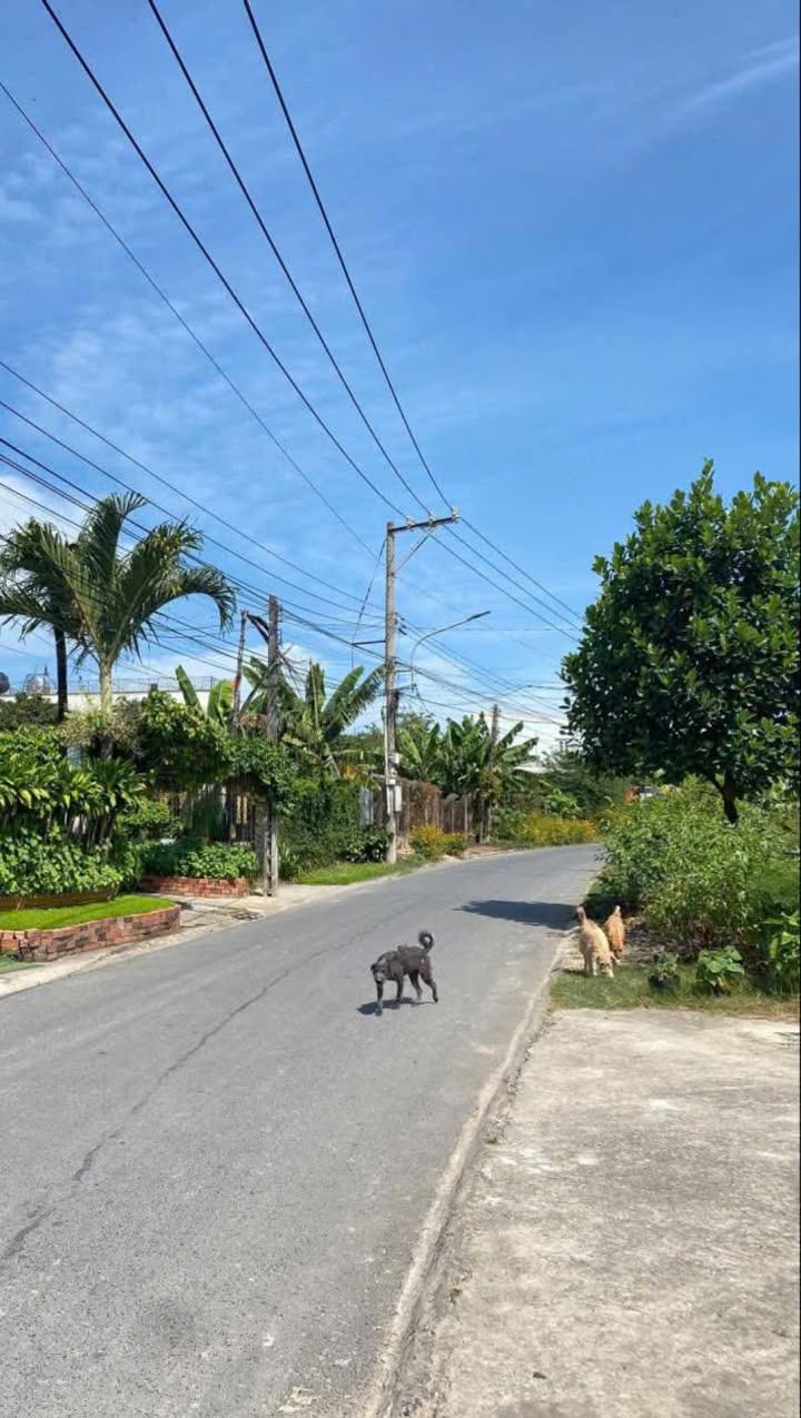 Nhà trọ mặt tiền Hưng Định 17, Thuận An 215m² giá 4.5 tỷ - Đầu tư sinh lời ngay!