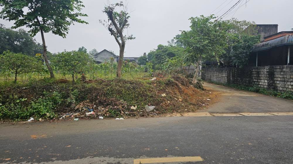 Đất nền 2.227m² tại Cư Yên, Lương Sơn, Hoà Bình - Vị trí đắc địa, đầu tư sinh lời cao!