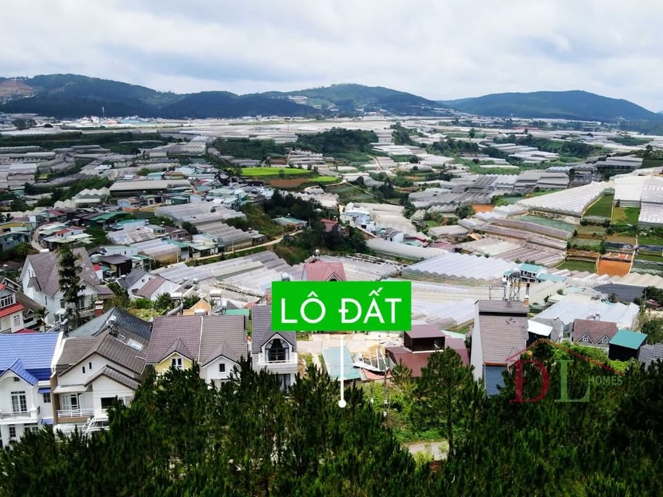 Đất nền Đà Lạt 200m² giá 12.8 tỷ - Đầu tư sinh lời tại khu vực đồi Ngô Quyền!