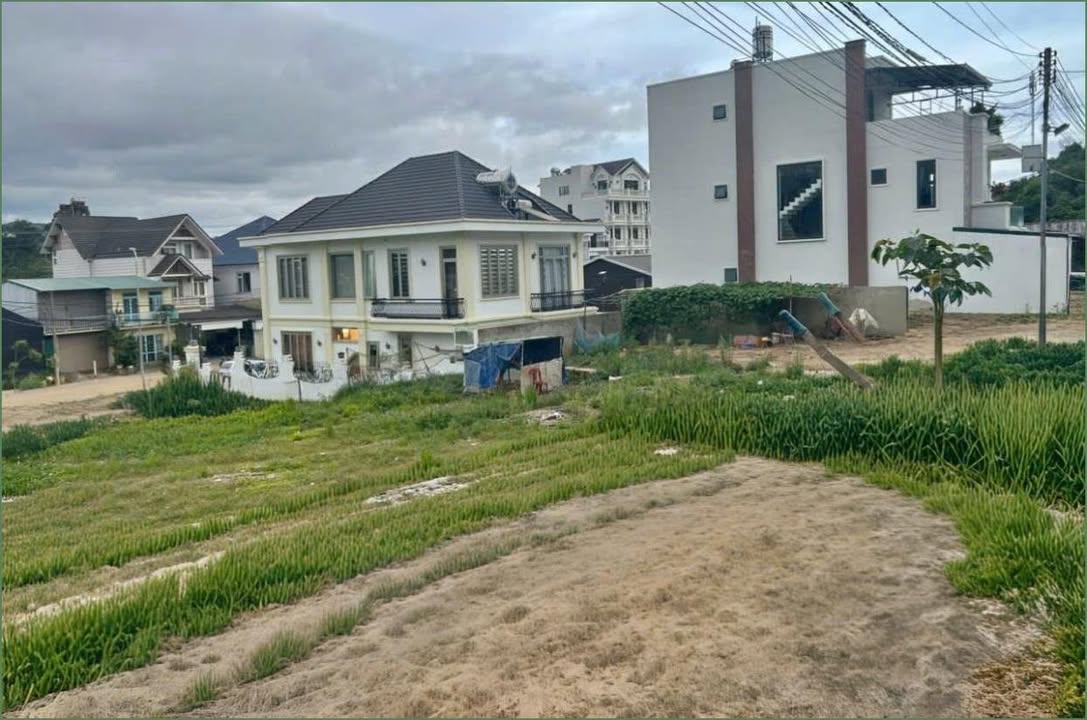 Đất biệt thự phường Lang Biang Đà Lạt 236m² giá 6.5 tỷ - Đầu tư lý tưởng!
