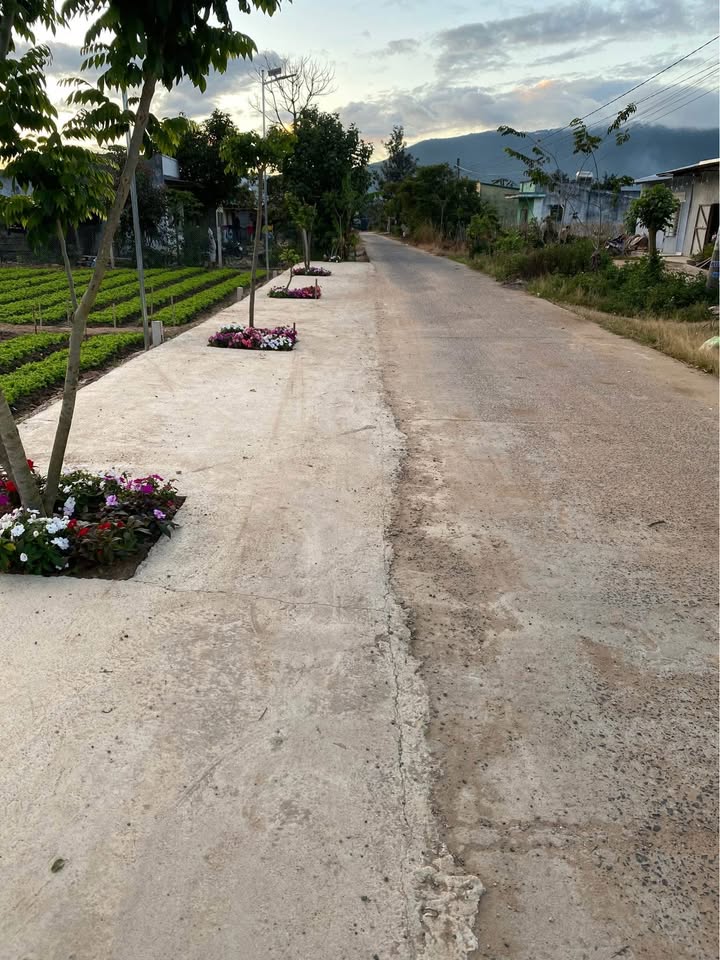 Đất nền xã D’Ran, Đơn Dương 450m² giá 700 triệu - Cơ hội đầu tư hấp dẫn!