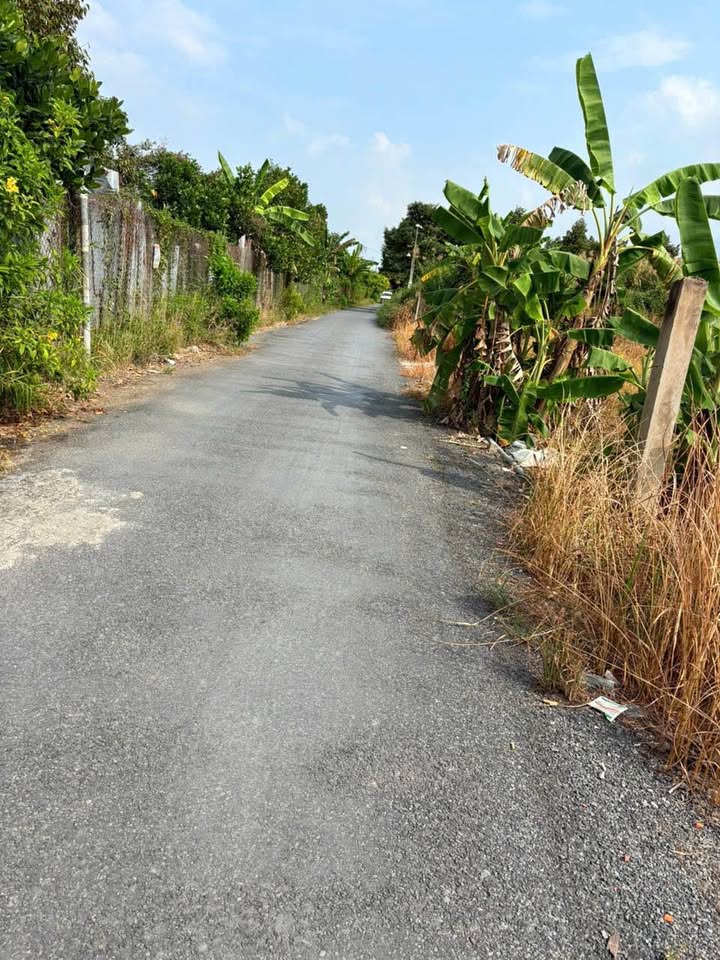 Đất nền Trâm Bầu Cái Bè 399m² giá 1.25 tỷ - Chính chủ bán gấp!