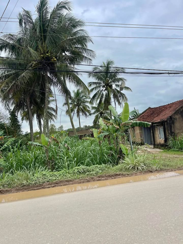 Đất nền mặt tiền đường DH01, xã Ea Păl, Đắk Lắk, 500m² - Cơ hội đầu tư sinh lời!