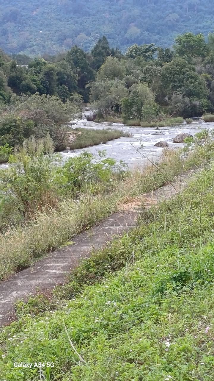 Đất nông nghiệp tại xã Hòa Lễ, Krông Bông 2.7ha giá chỉ 2.362 tỷ - Cơ hội đầu tư tuyệt vời!