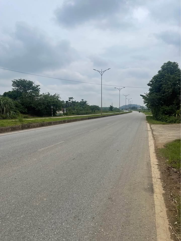 Đất thổ cư 300m² tại xã Xuân Phú, huyện Thọ Xuân - Đầu tư kinh doanh sinh lời!