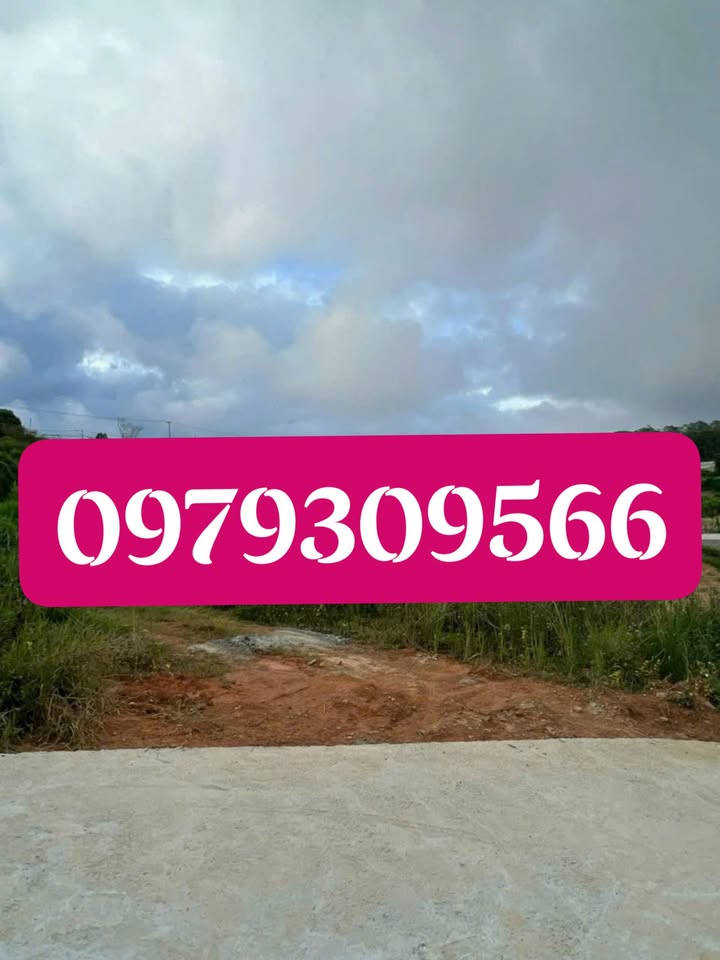 Đất thổ cư Xuân Trường Đà Lạt 1351m² giá 6.7 tỷ - Đầu tư sinh lời tuyệt vời!