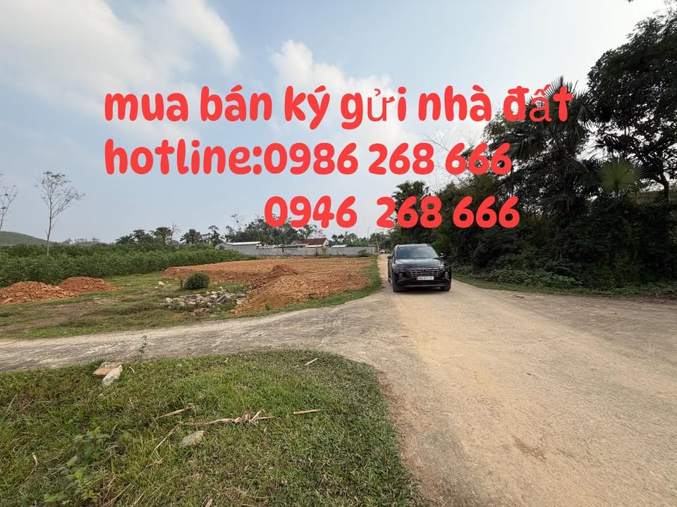 Đất nền Thôn Đông Phố, Sơn Giang 390m² giá 700 triệu - Nở hậu hai mặt tiền đường!