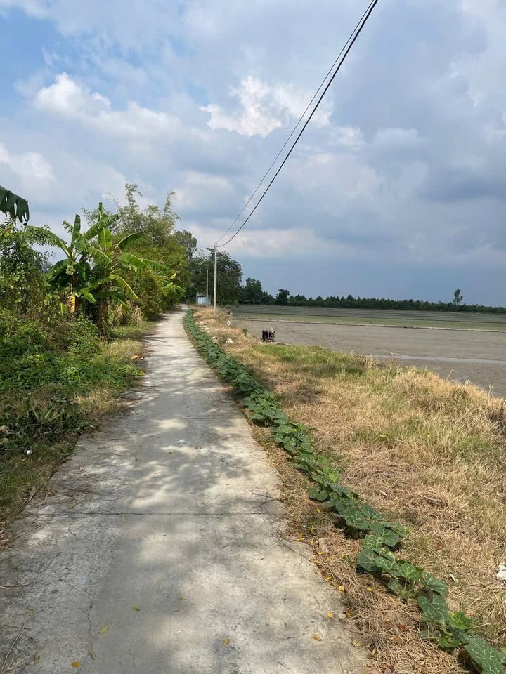 Đất nền đầu tư xã Trường Xuân B, Thới Lai 20.000m² - Giá chỉ 1.78 tỷ VND!