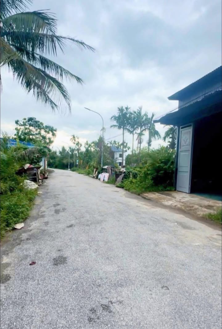Đất nền 100m² Tân Dân, An Lão, Hải Phòng chỉ 1.1 tỷ - Đầu tư sinh lời ổn định!