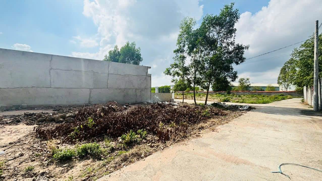 Đất ở Suối Nhum, Phú Mỹ, 80m² giá chỉ 199 triệu - Đầu tư sinh lời ngay!