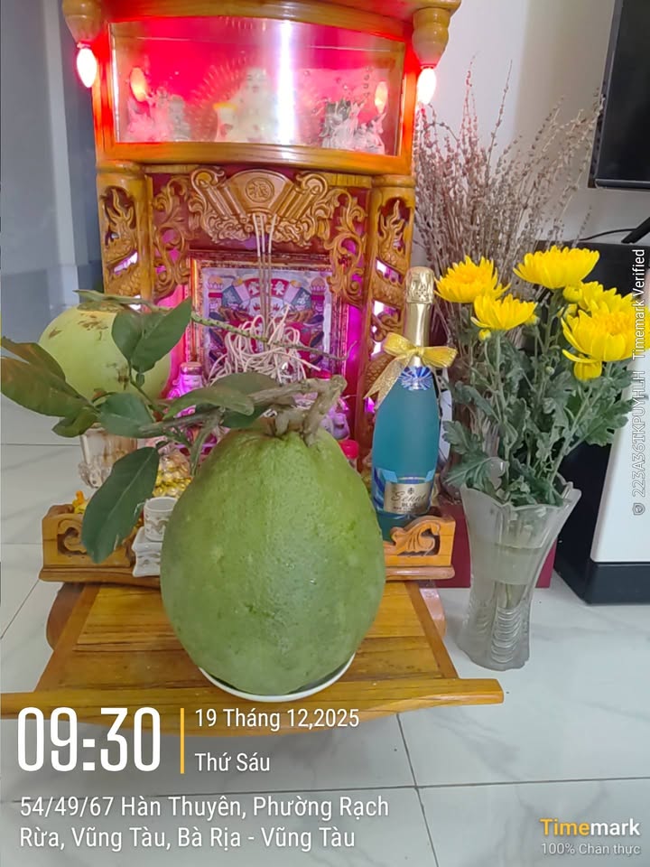 Đất nền 93m² hẻm 1216, phường 12 Vũng Tàu - Giá chỉ 1.55 tỷ, cơ hội đầu tư tuyệt vời!