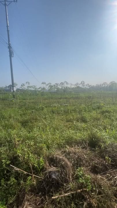 Đất thổ cư 230m² tại thôn Đồng Phúc, xã Quang Diệm chỉ 600 triệu - Cơ hội đầu tư tuyệt vời!