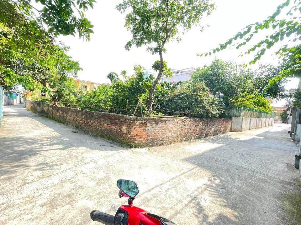 Đất nền Trần Lãm Thái Bình 65m² giá 1 tỷ - Đường ô tô vào tận nơi!