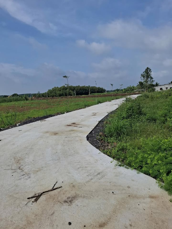 Đất nền 1000m² Láng Dài - Đất Đỏ chỉ 700 triệu - Cơ hội đầu tư hiếm có!