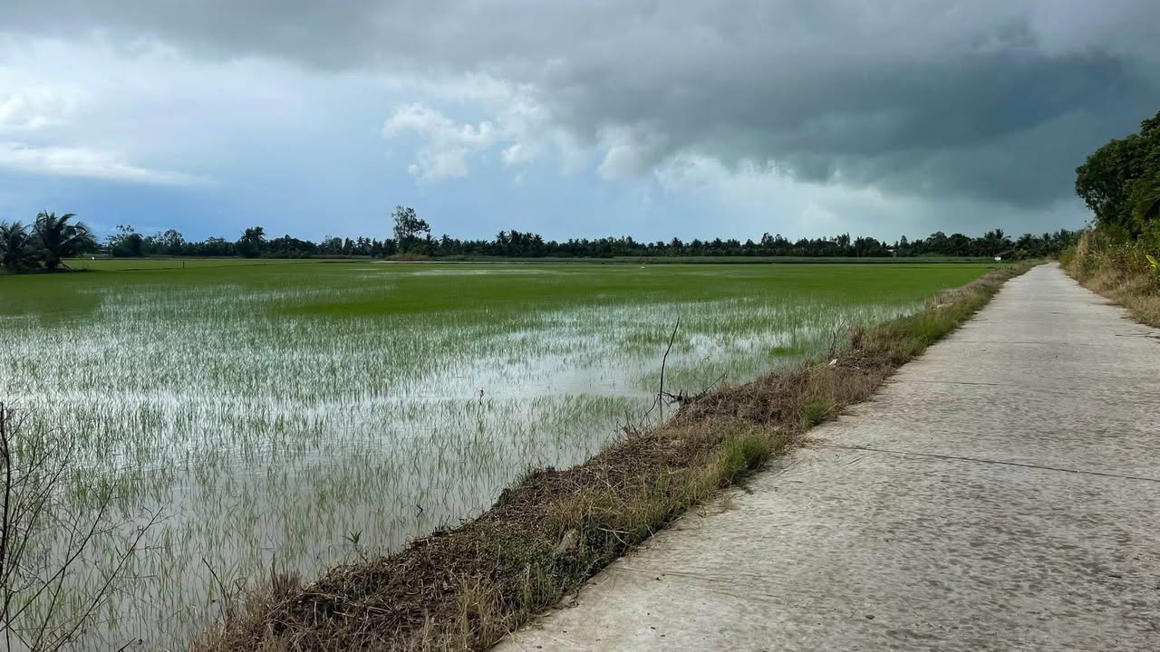 Đất mặt tiền Đường Dal, 4.000m², giá 250 triệu - Đầu tư sinh lời ngay!