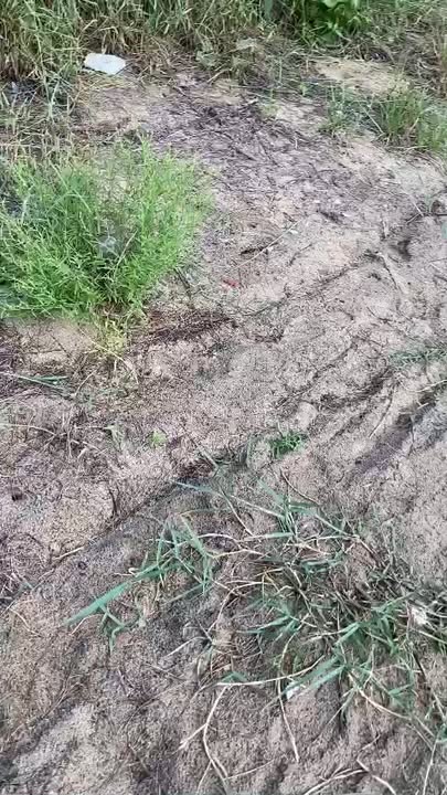 Nhà riêng Nghĩa An, Quảng Ngãi 179m² giá 2 tỷ - View biển tuyệt đẹp!