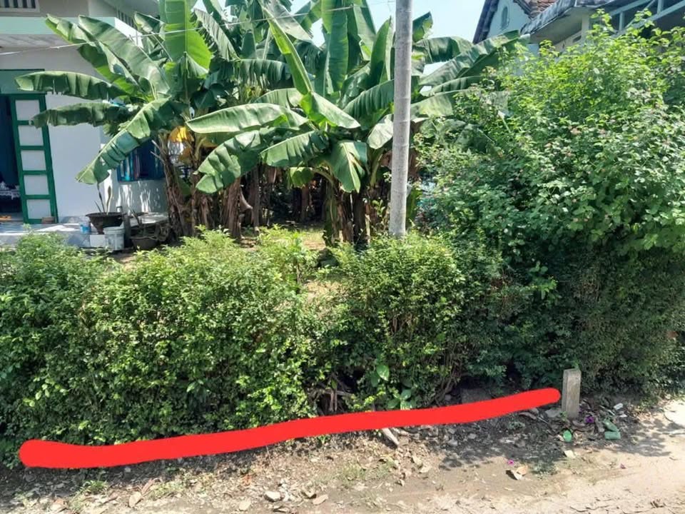 Đất ở thị trấn Nam Phước Duy Xuyên 250m² - Gần chợ và trường học!