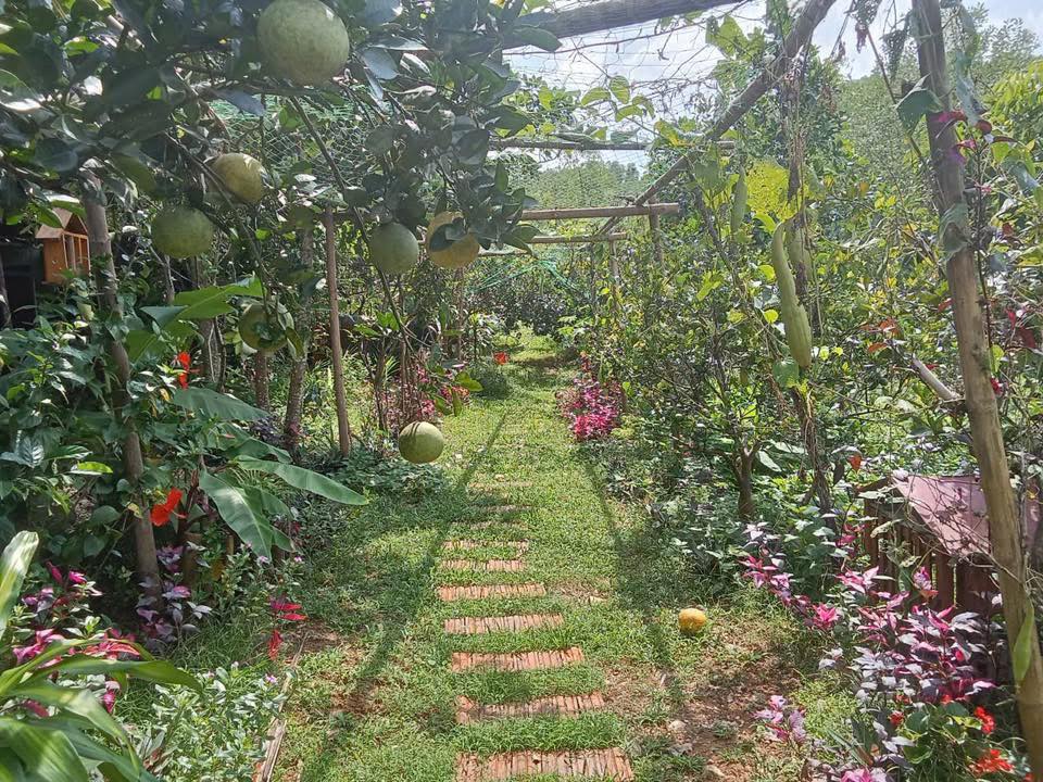 Lô đất Farm nghỉ dưỡng 34.000m² tại Thành Minh, Thạch Thành - Cơ hội đầu tư hấp dẫn!