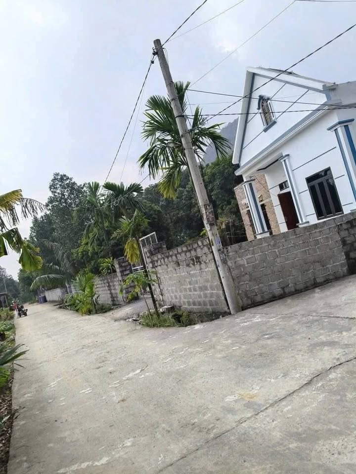 Đất nền Gia Lâm Nho Quan 115m² giá chỉ 3xx triệu - Cơ hội đầu tư tuyệt vời!