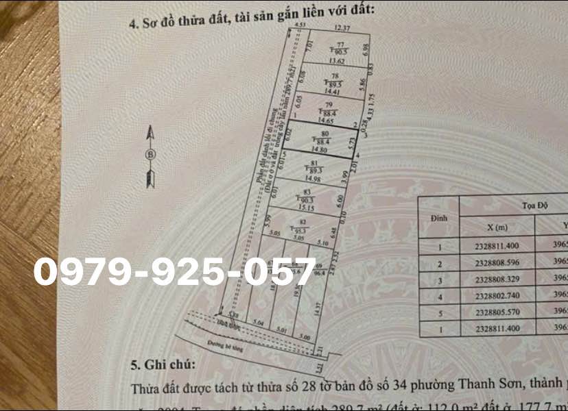 Đất nền khu phố 9 Thanh Sơn 88m² giá 800 triệu - Đầu tư sinh lời ngay!