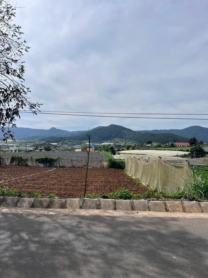 Đất ở Quảng Lập 345m² giá 220 triệu - Kinh doanh thuận lợi ngay đường nhựa 412!