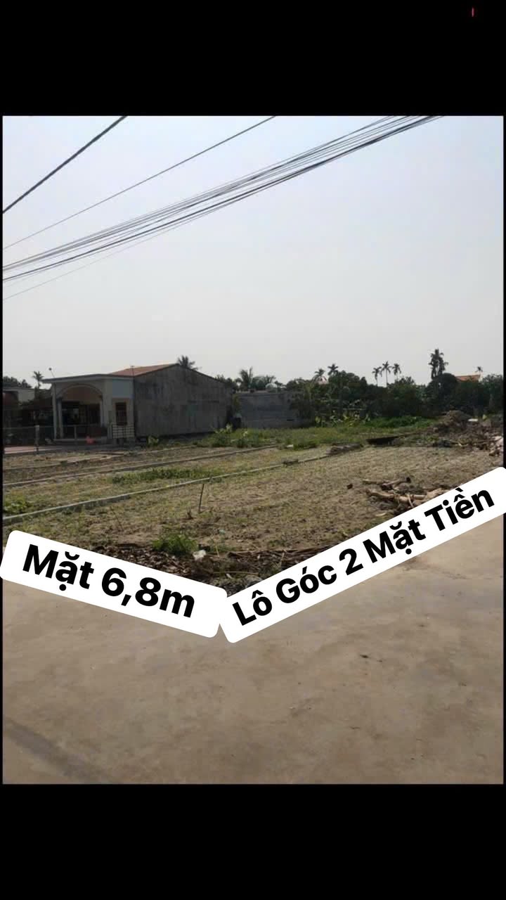 Đất lô góc 134m² tại Cộng Lạc, Tứ Kỳ - Giá chỉ 1 tỷ, đầu tư sinh lời cao!