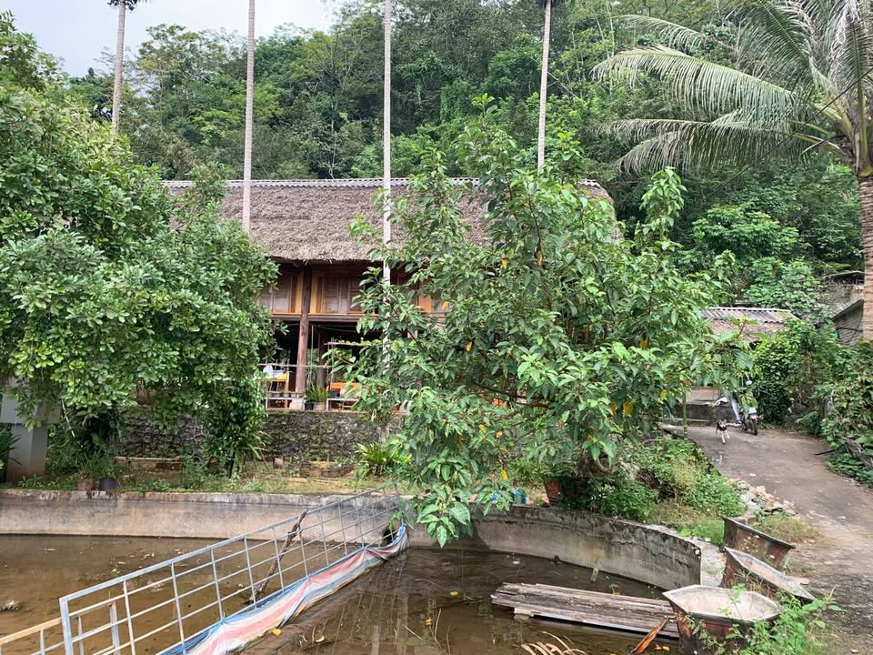 Nhà sàn tại Quang Trung, 625m², giá thỏa thuận - Cơ hội sở hữu không thể bỏ lỡ!