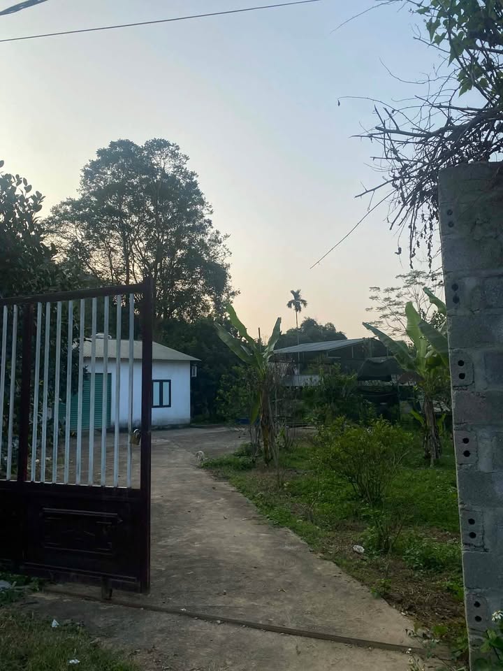 Đất Farm Vĩnh Tuy, Bắc Quang 2000m² - Sổ đỏ chính chủ, giá thỏa thuận!