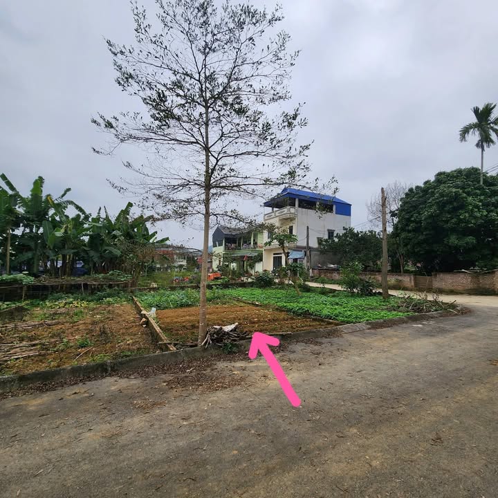 Đất nền Tiến Xuân 85m² giá 2 tỷ - Gần khu resort xanh Villas và ĐH Quốc Gia!