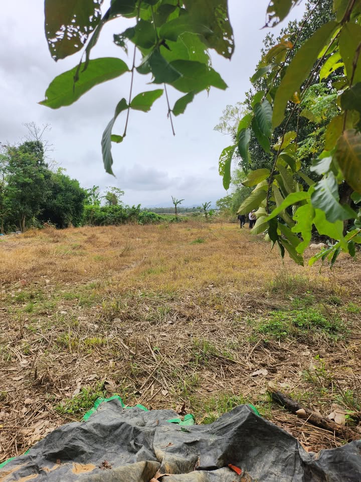 Đất nền xã Thu Bồn, Duy Xuyên 130m² giá 400 triệu - Cơ hội đầu tư hấp dẫn!