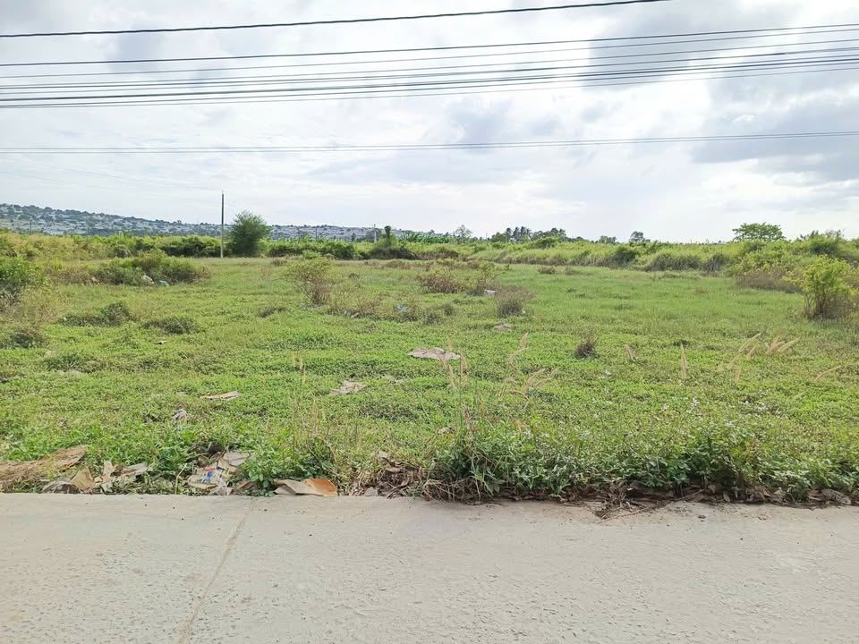 Lô đất thổ cư 1800m² mặt tiền bê tông Phú Mỹ - Giá chỉ 3 tỷ!