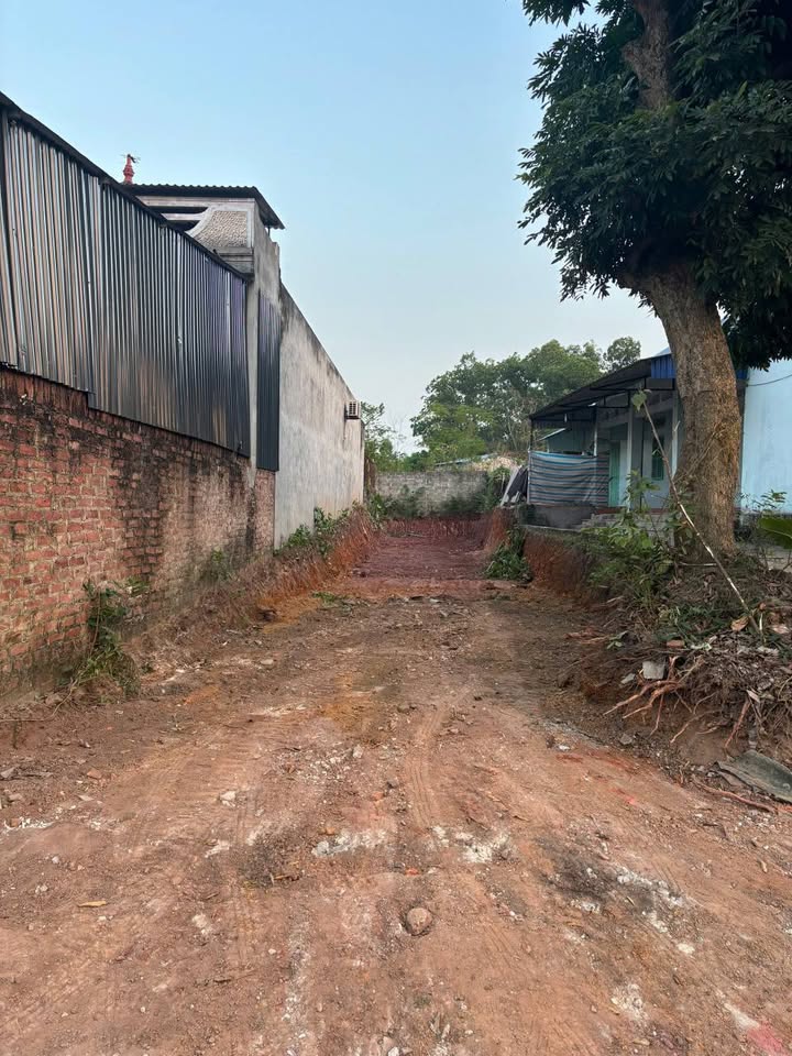 Đất nền Bách Quang Sông Công 165m² giá 1.3 tỷ - Đường thông ô tô tránh nhau!