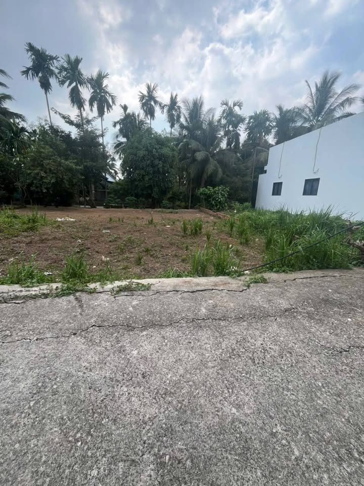 Đất nền phường Sơn Đông, Bến Tre 132m² giá chỉ 539 triệu - Đường xe hơi 7 chỗ