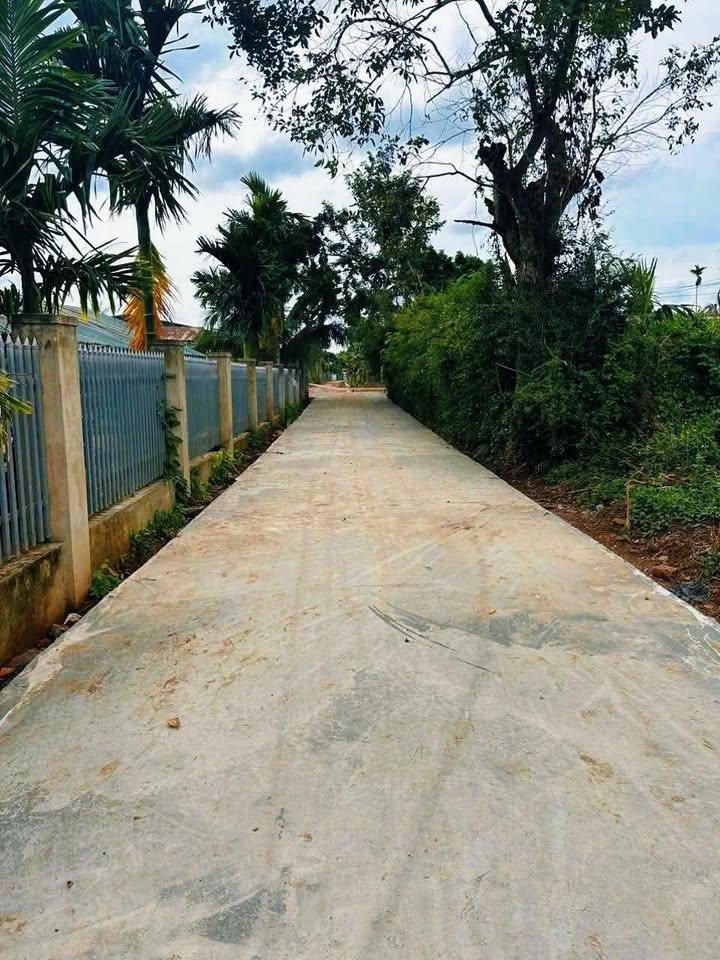 Đất nền xã Krông Ana M'Đrắk 168m² giá chỉ 720 triệu - Cơ hội đầu tư hấp dẫn!