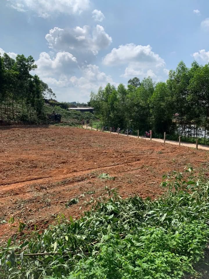 Đất nền Tân Khánh 700m² giá 700 triệu - Địa thế tuyệt đẹp