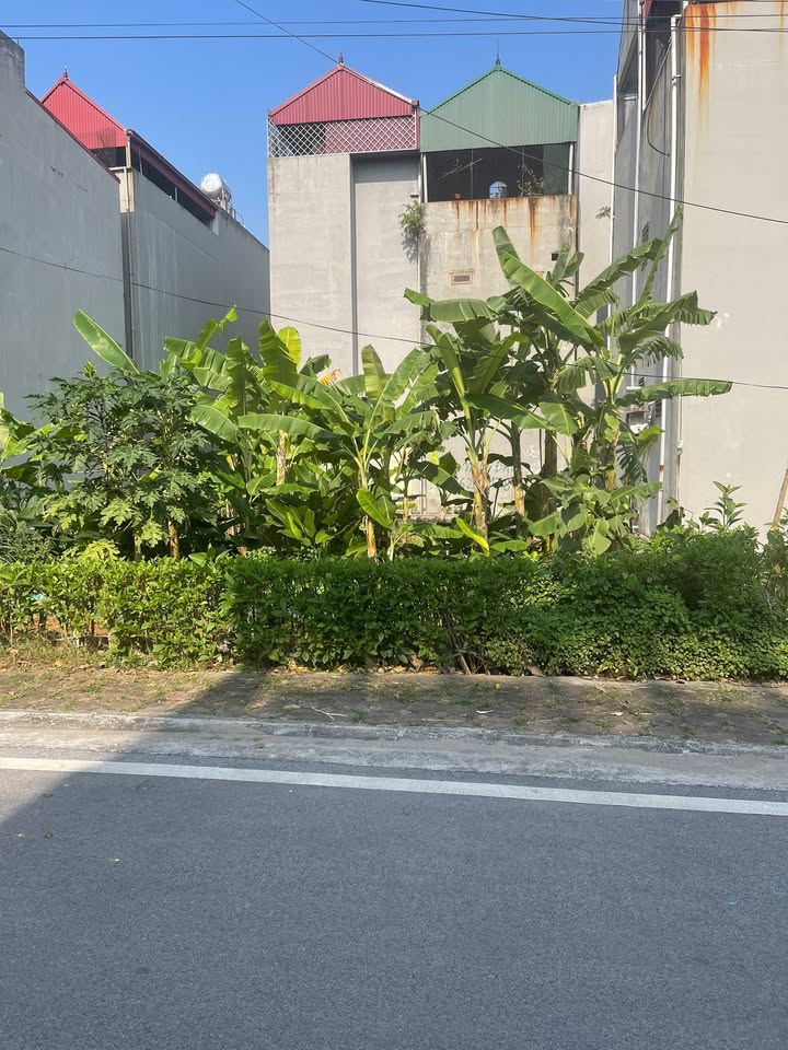 FrontHouse khu phố 3 Phố Mới 81m² giá 4 tỷ - Mặt tiền rộng rãi, gần trường học và bệnh viện!