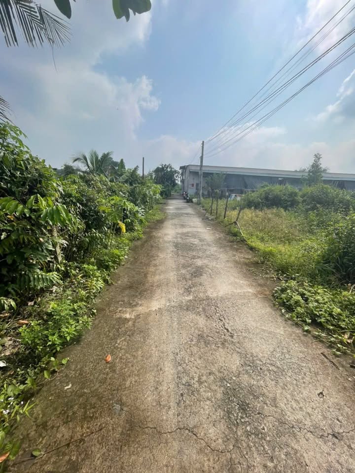 Đất nền Nhơn Trạch 379.5m² giá 2 tỷ - Phù hợp xây nhà vườn hoặc nhà trọ!