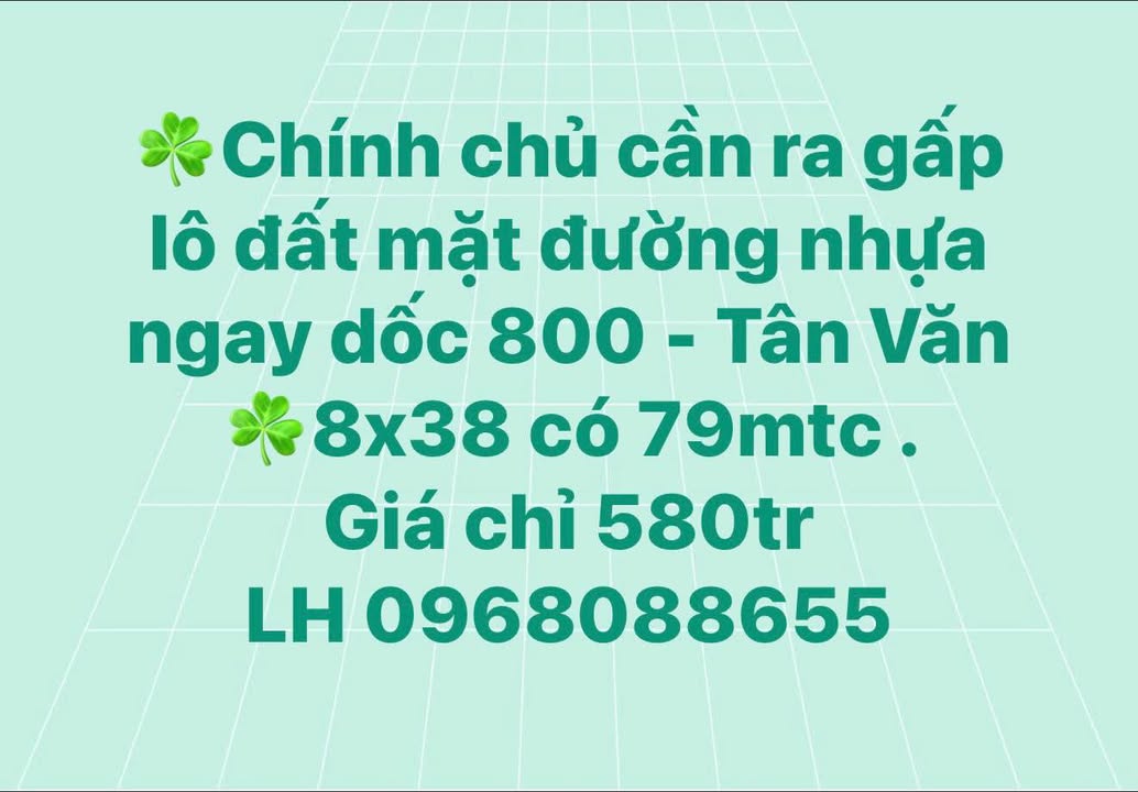Đất mặt đường nhựa Tân Văn 304m² giá chỉ 580 triệu - Cần bán gấp!