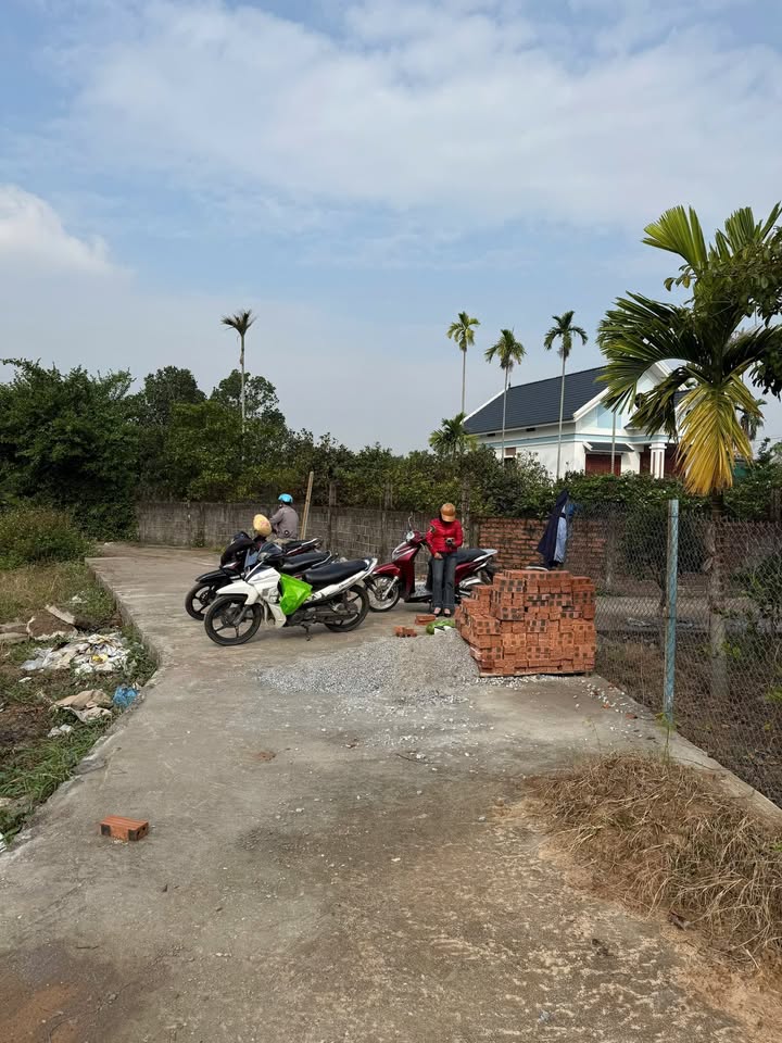 Đất thổ cư Quốc Tuấn, An Dương 1247m² - Pháp lý sổ đỏ, giá thỏa thuận hấp dẫn!