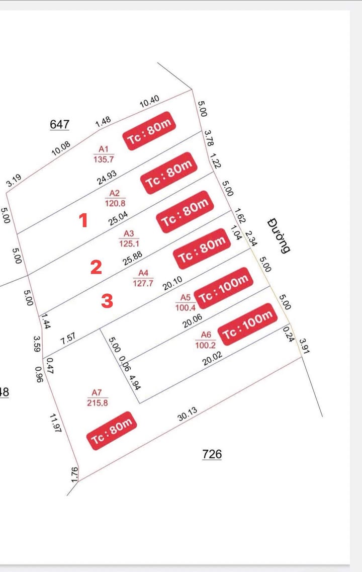 Đất nền F0 Tam Đảo 200m² giá chỉ 700 triệu - Đầu tư sinh lời ngay!