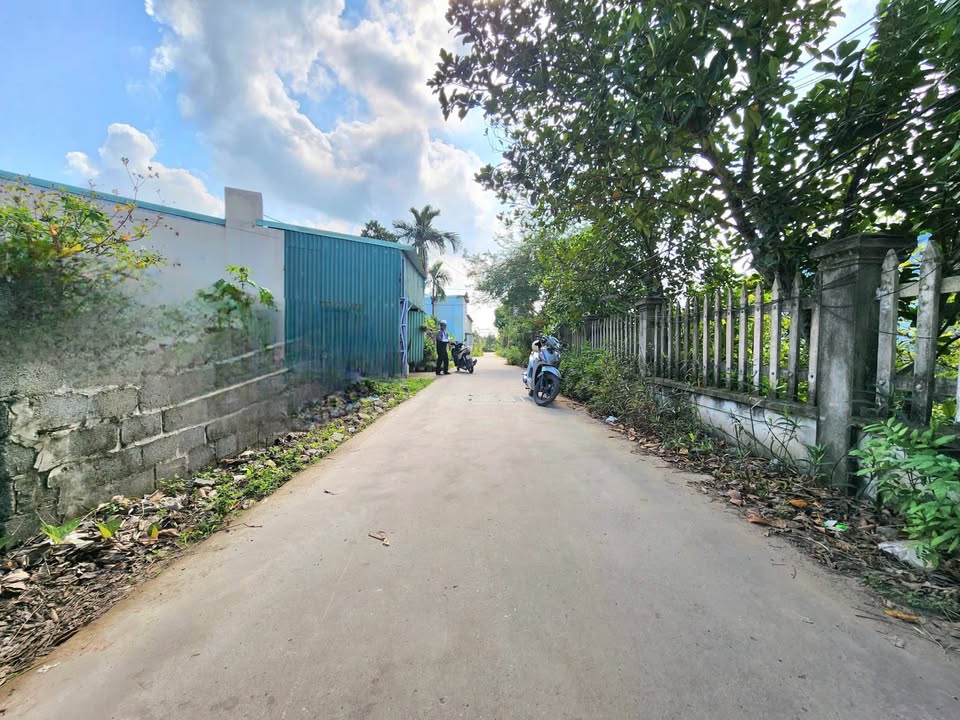 Đất mặt tiền Hòa Nghĩa Dương Kinh 155m² giá 2 tỷ - Cơ hội hiếm có không thể bỏ lỡ!