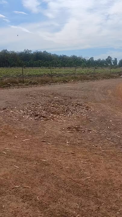 Đất nền Lộc Hưng 2ha giá 2.2 tỷ - Cơ hội đầu tư tuyệt vời!