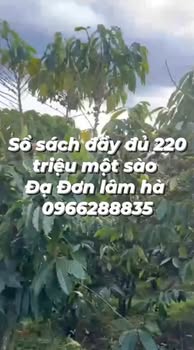 Farm Đạ Đờn Lâm Hà 1,2ha giá 264 triệu - Sổ đỏ chính chủ dễ làm