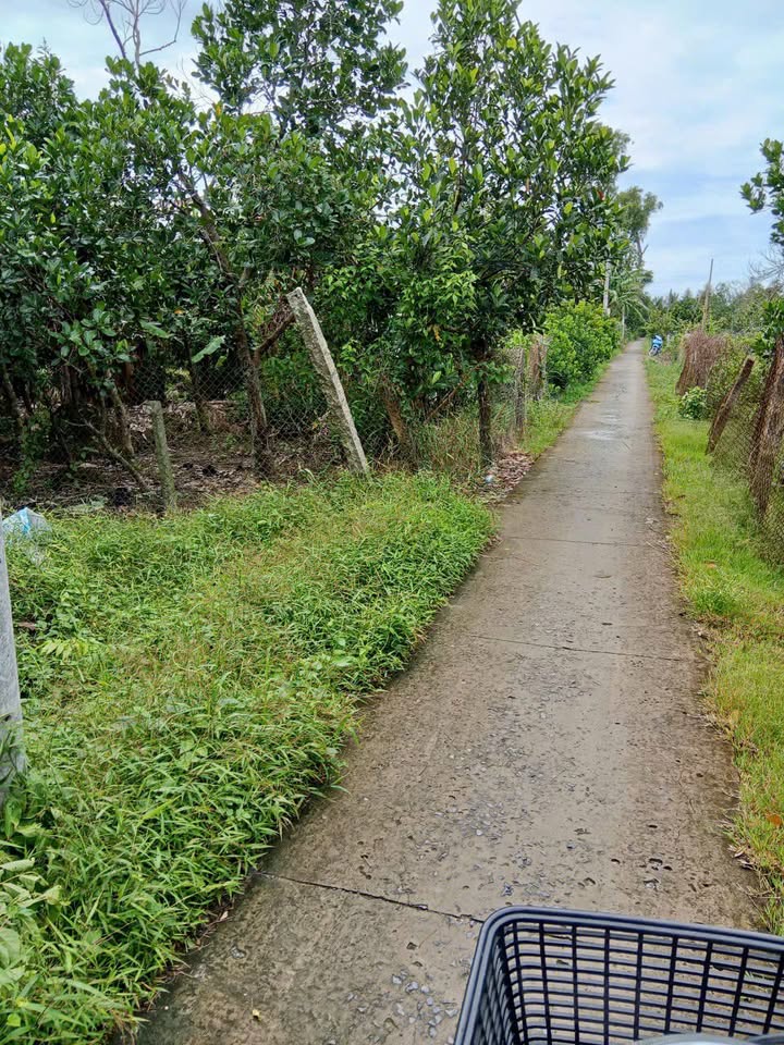 Đất nền Hòa Khánh Cái Bè 7030m² giá 3 tỷ - Đầu tư sinh lợi cao!