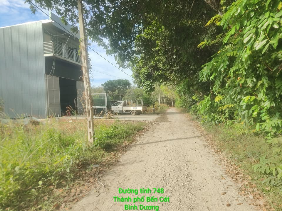 Đất nền An Điền, Bến Cát 160m² giá chỉ 800 triệu - Cơ hội đầu tư sinh lời!
