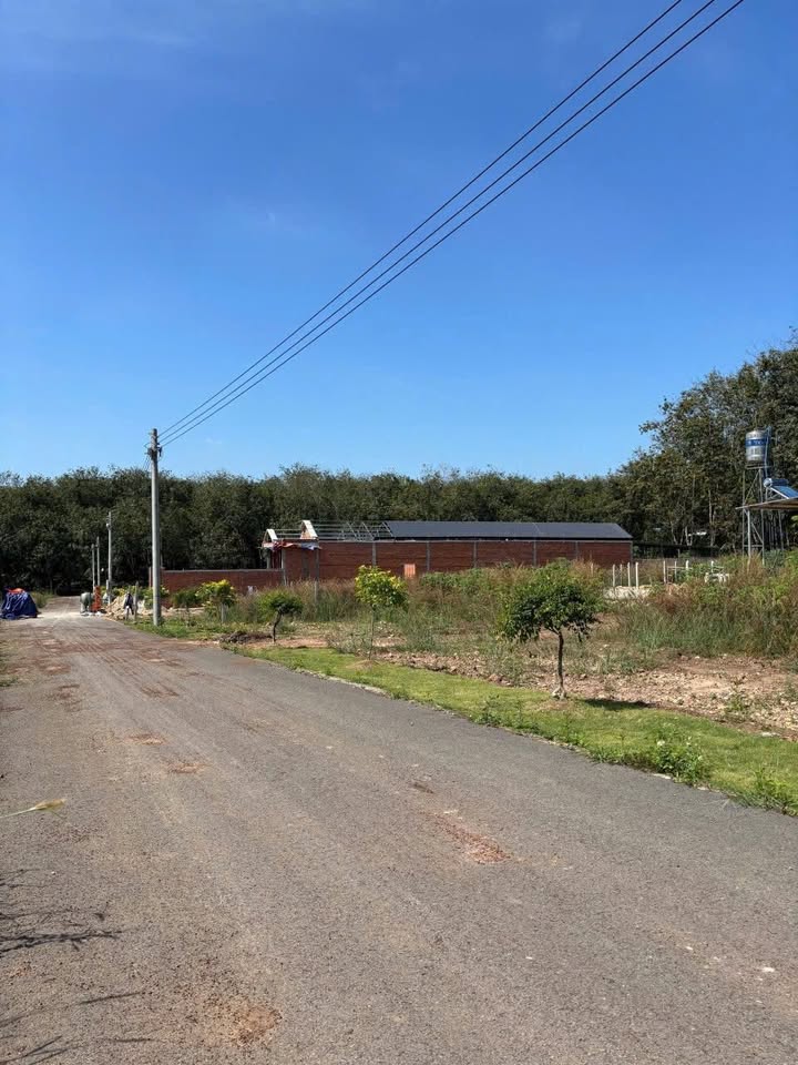 Đất nền Phước Thành, Củ Chi 1139m² giá 630 triệu - Sổ hồng riêng, đầu tư sinh lời!