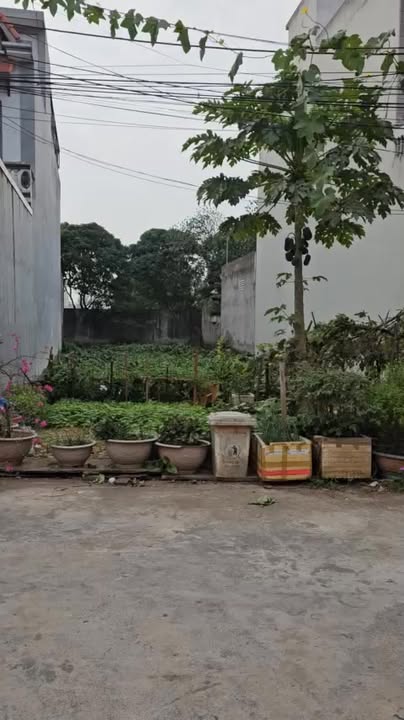 Đất giãn dân 120,8m² tại Vĩnh Hưng, Hải Dương - Giá chỉ 2 tỷ, đầu tư sinh lời!