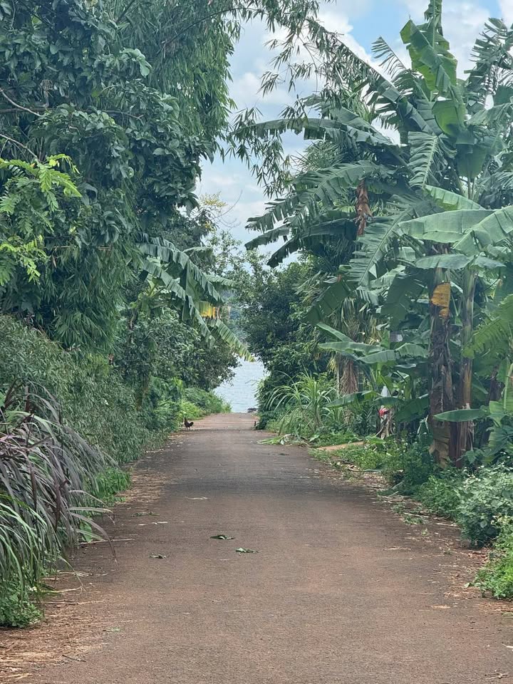 Đất nền góc 2 mặt tiền hẻm 171 Nguyễn Thái Bình, 210m² chỉ từ 235 triệu - Cơ hội đầu tư sinh lời!